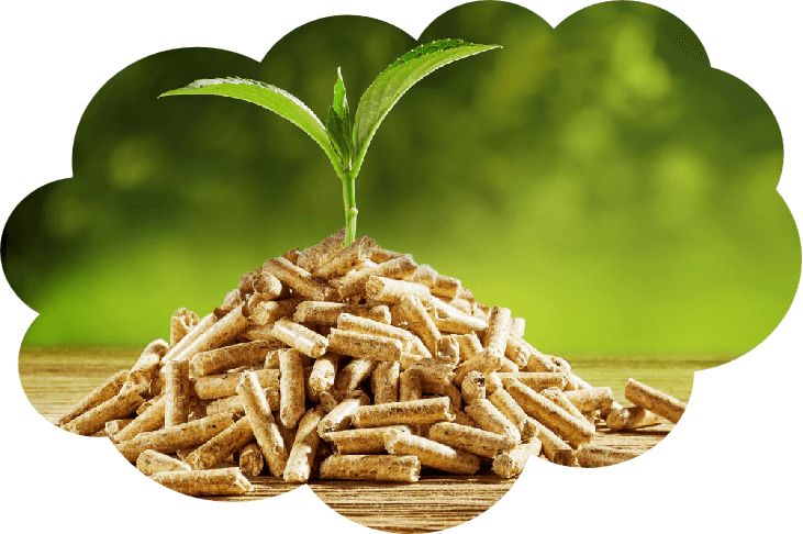 Wood Pellet Press Machine: China Manufacturer