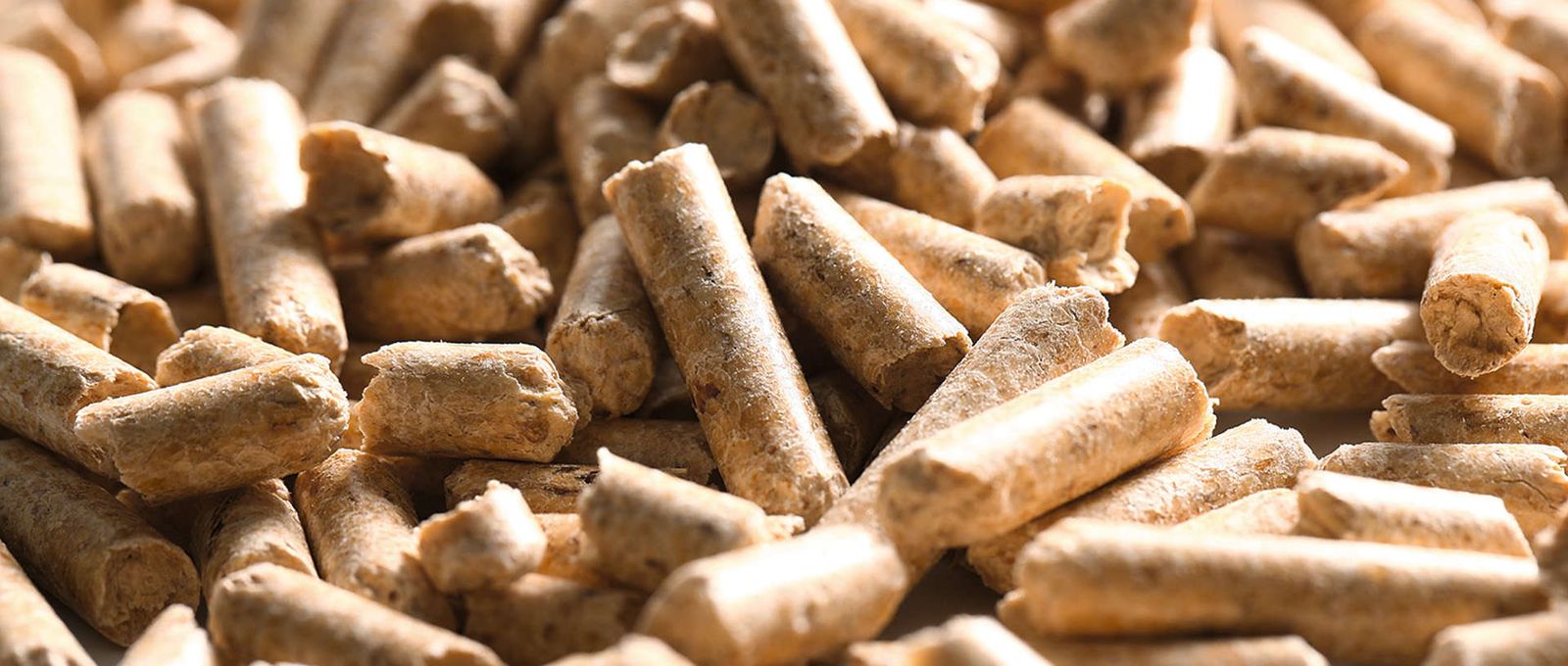 How Pellet Press Machines Drive Greener Manufacturing