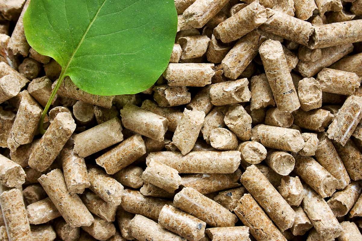 Rice Husk Pellet Machine: Production Line Guide
