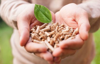 Biomass Pellets vs. Conventional Fuels: A Technical Comparison