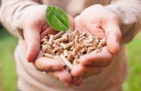 Wood Pelletizing Apparatus: Biomass to Green Energy