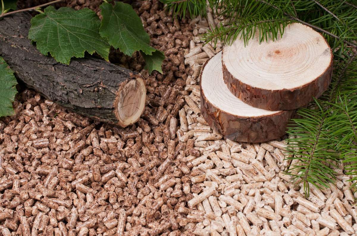China Wholesale Wood Pellet Press Machine Manufacturer