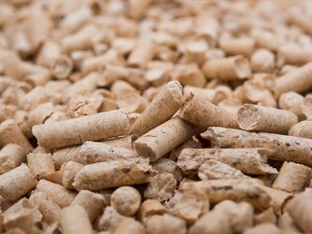 Biomass Pellet Industry News & Insights