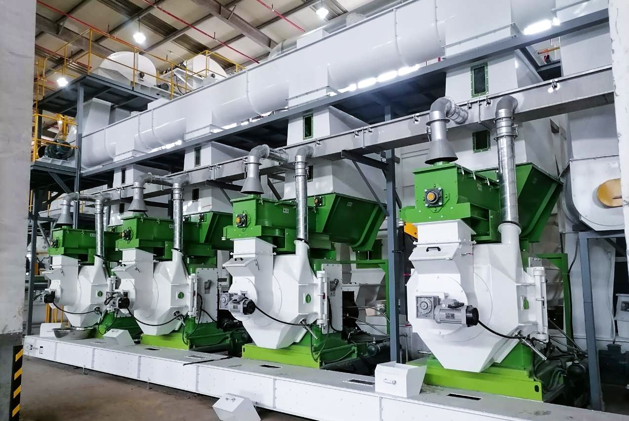 10–12 t/h Waste Wood Pellet Production Line