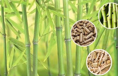 OEM Biomass Pellet Production Line: Supplier & Pricing Guide