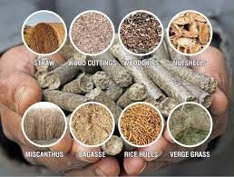 Biomass Pellet Industry News & Market Insights