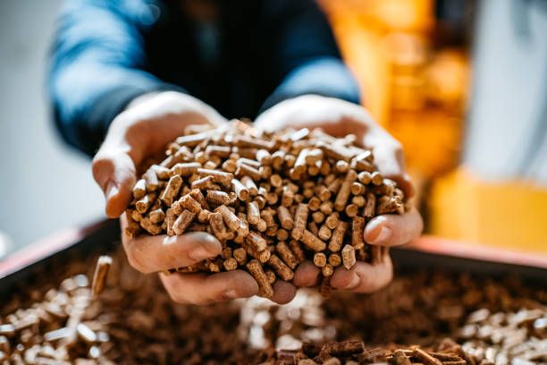 How Kingwood Pellet Press Technology Reduces Carbon Emissions