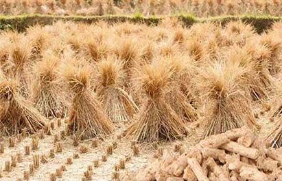 How Wood Sawdust Pellet Press Manufacturers Stay Competitive