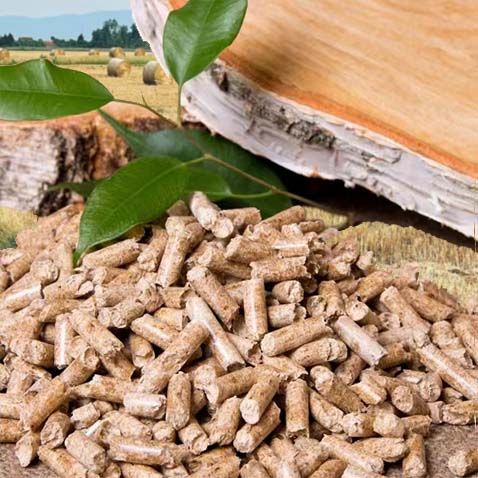 Rice Husk Pellet Production Line: Equipment & Process Guide