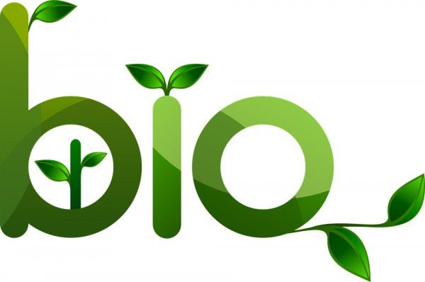 Biomass Gasification Achieves 50%+ Hydrogen in Syngas Tests
