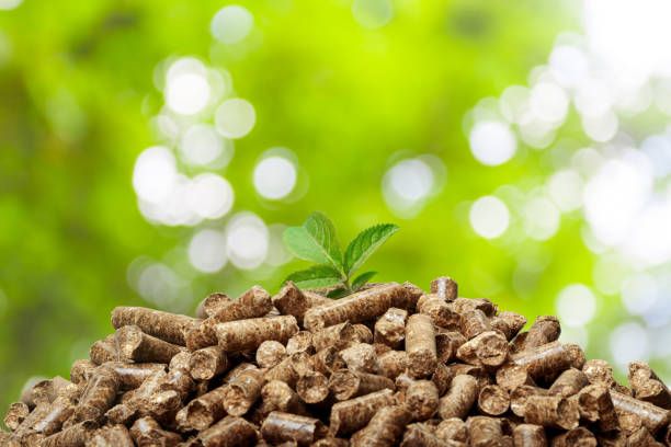 Emissions & Waste in Biomass Pellet Production