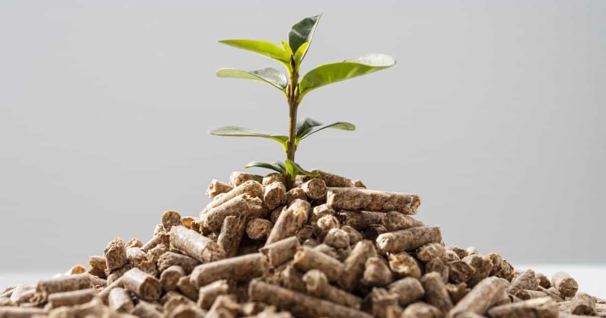 Integrating Vertical Wood Pellet Machines Into Biomass Systems