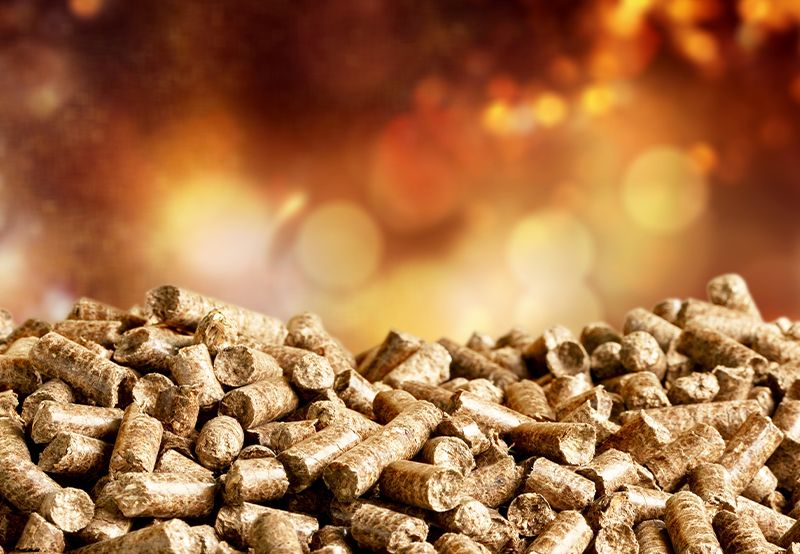 Biomass Pellet Industry News & Market Insights