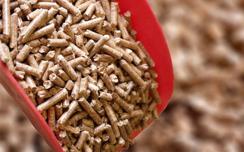 Vertical Biomass Pellet Machine for Agricultural Residue Processing