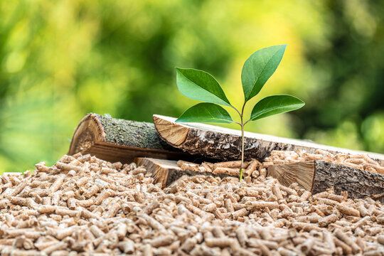 How Vertical Wood Pellet Machine Design Drives Large-Scale Output