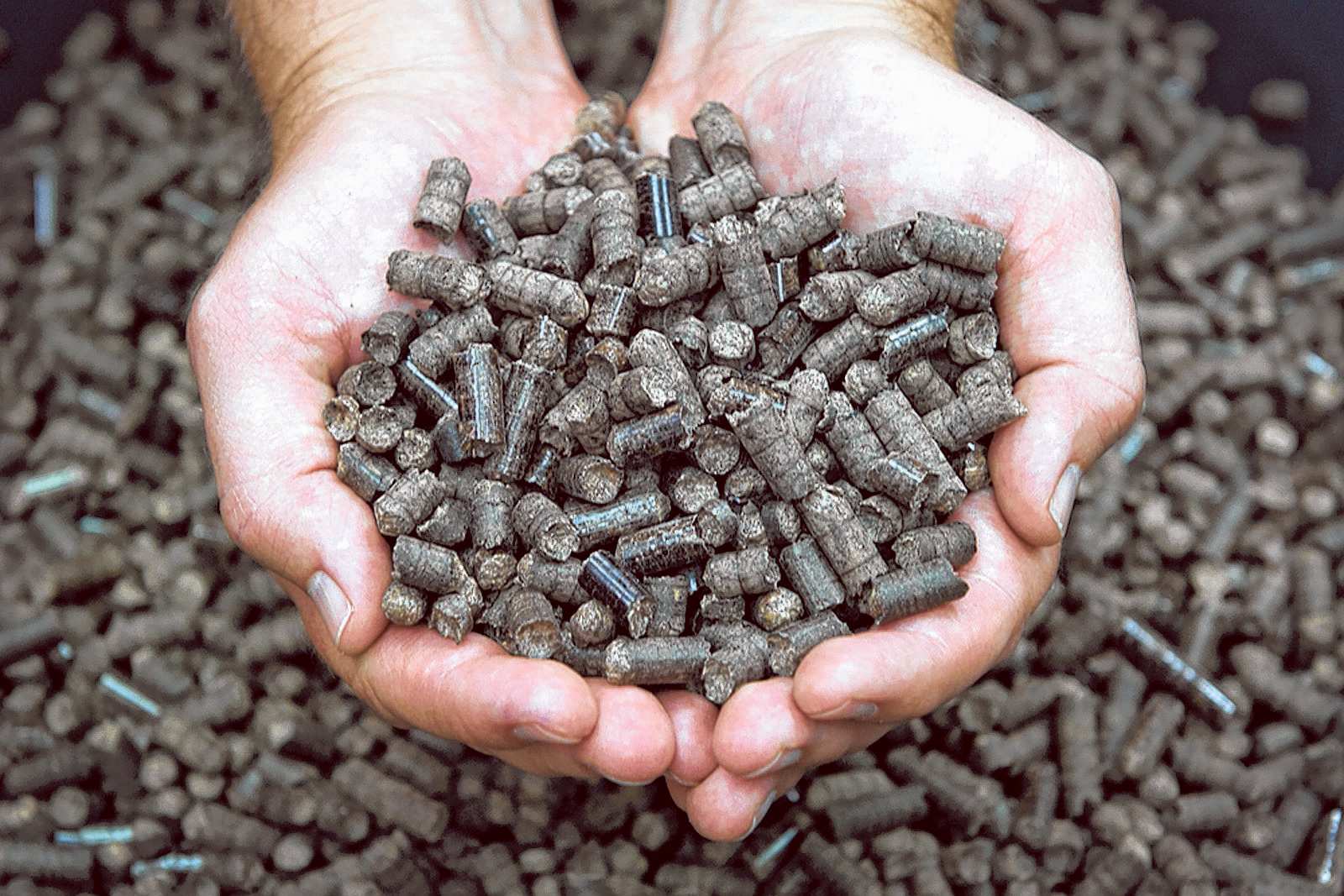 How Wood Pellets Improve Industrial Heating Efficiency